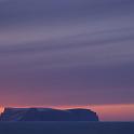 Scott Island, 
Gibbs/Clark Fjord, Baffin Island, Nunavut, 
2000